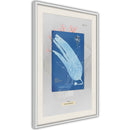 Poster - Alga Cyanotype  - wit passepartout