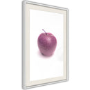 Poster - Forbidden Fruit  - wit passepartout