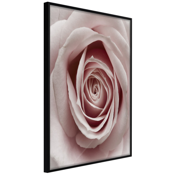 Poster - Rosebud  - zwart