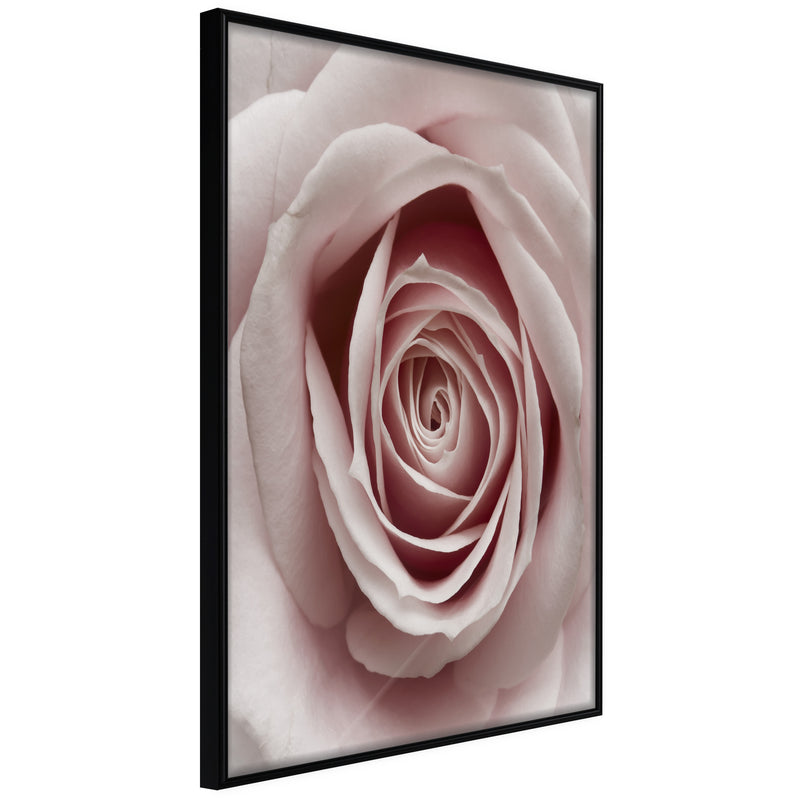Poster - Rosebud  - zwart