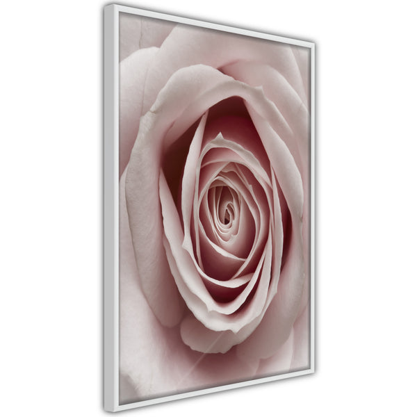 Poster - Rosebud  - wit