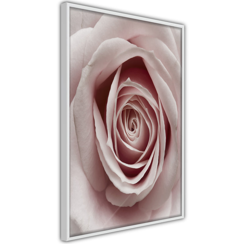 Poster - Rosebud  - wit