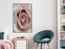 Poster - Rosebud  - goud
