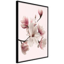 Poster - Blooming Magnolias I  - zwart