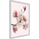 Poster - Blooming Magnolias I  - wit