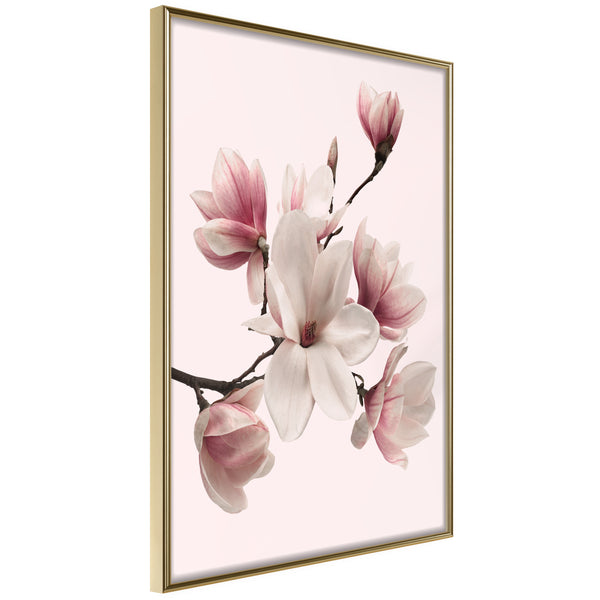 Poster - Blooming Magnolias I  - goud