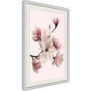 Poster - Blooming Magnolias I  - wit passepartout