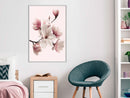 Poster - Blooming Magnolias I  - wit