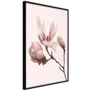 Poster - Blooming Magnolias II  - zwart