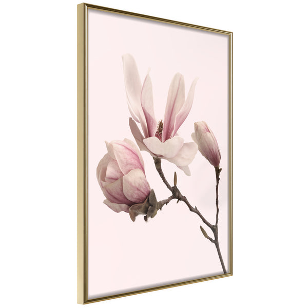 Poster - Blooming Magnolias II  - goud