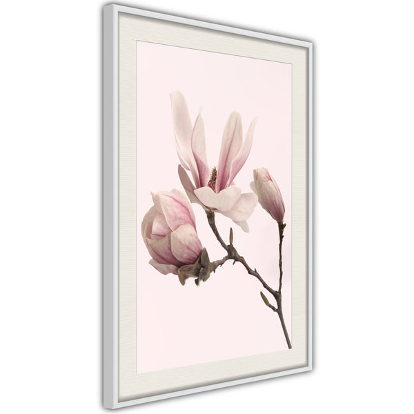 Poster - Blooming Magnolias II  - wit passepartout