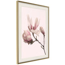 Poster - Blooming Magnolias II  - goud passepartout