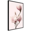 Poster - Blooming Magnolias III  - zwart