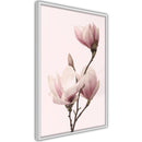 Poster - Blooming Magnolias III  - wit