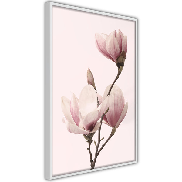 Poster - Blooming Magnolias III  - wit
