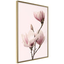 Poster - Blooming Magnolias III  - goud