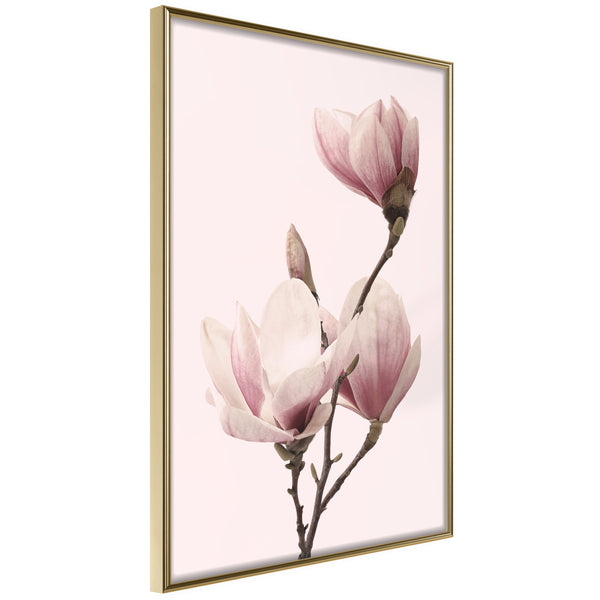 Poster - Blooming Magnolias III  - goud