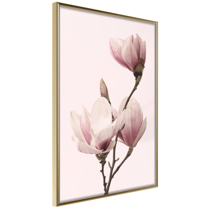 Poster - Blooming Magnolias III  - goud