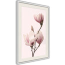 Poster - Blooming Magnolias III  - wit passepartout