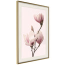 Poster - Blooming Magnolias III  - goud passepartout