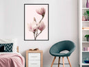 Poster - Blooming Magnolias III  - zwart
