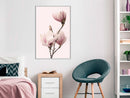 Poster - Blooming Magnolias III  - wit