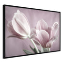 Poster - Pastel Tulips I  - zwart