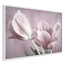 Poster - Pastel Tulips I  - wit