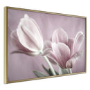 Poster - Pastel Tulips I  - goud