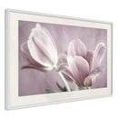 Poster - Pastel Tulips I  - wit passepartout