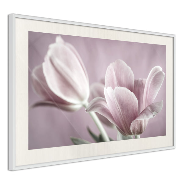 Poster - Pastel Tulips I  - wit passepartout