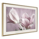 Poster - Pastel Tulips I  - goud passepartout