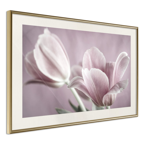 Poster - Pastel Tulips I  - goud passepartout