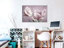 Poster - Pastel Tulips I  - wit