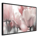 Poster - Pastel Tulips II  - zwart