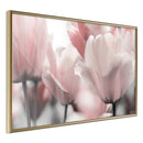 Poster - Pastel Tulips II  - goud