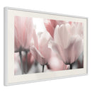 Poster - Pastel Tulips II  - wit passepartout