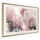 Poster - Pastel Tulips II  - goud passepartout