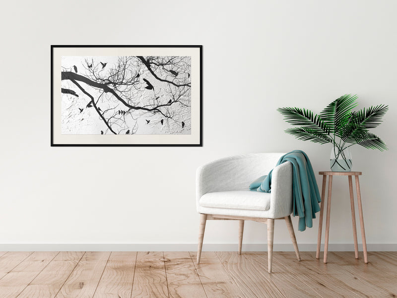 Poster - Twitter II  - zwart passepartout