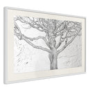 Poster - Tangled Branches  - wit passepartout