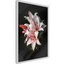 Poster - Pale Pink Lilies  - wit