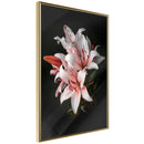 Poster - Pale Pink Lilies  - goud