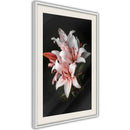 Poster - Pale Pink Lilies  - wit passepartout