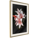 Poster - Pale Pink Lilies  - goud passepartout