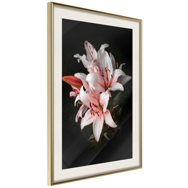 Poster - Pale Pink Lilies  - goud passepartout
