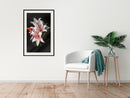 Poster - Pale Pink Lilies  - zwart passepartout