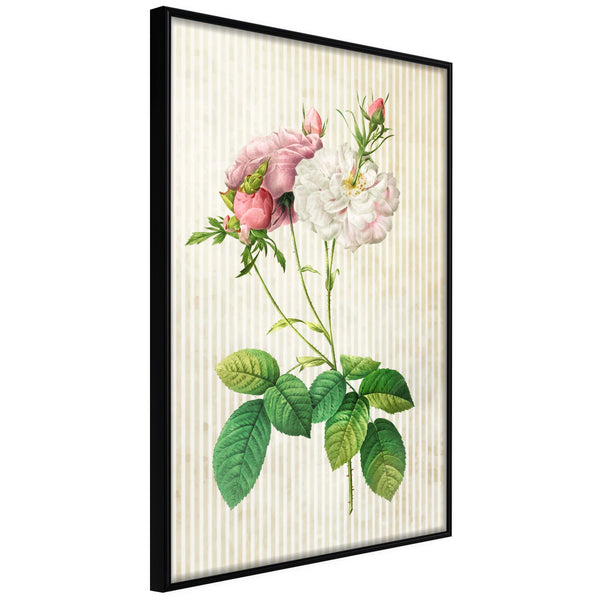 Poster - Romance I  - zwart
