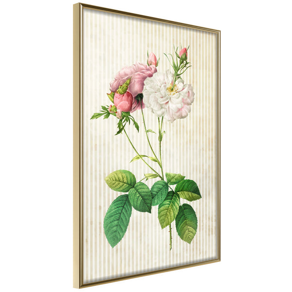 Poster - Romance I  - goud