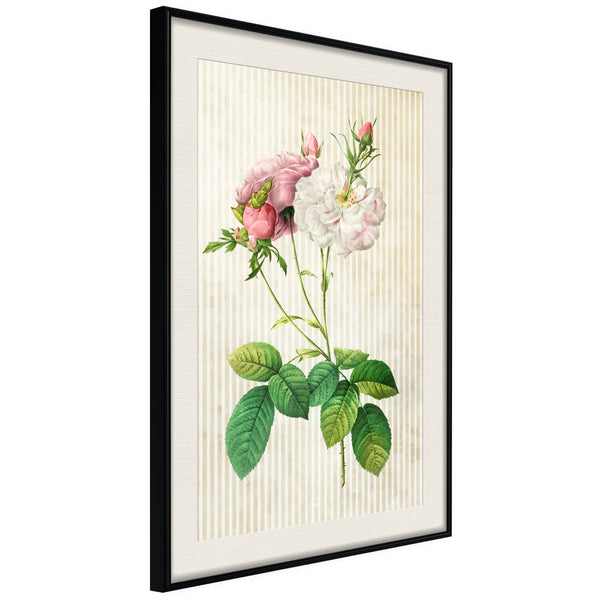 Poster - Romance I  - zwart passepartout
