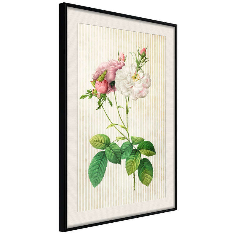 Poster - Romance I  - zwart passepartout